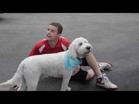 SC Static - All Parta Da Joke (Official Music Video) (Produced By Teddy Roxpin)