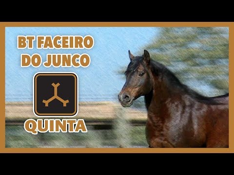 ESTÂNCIA DA QUINTA, for more than FOUR DECADES!