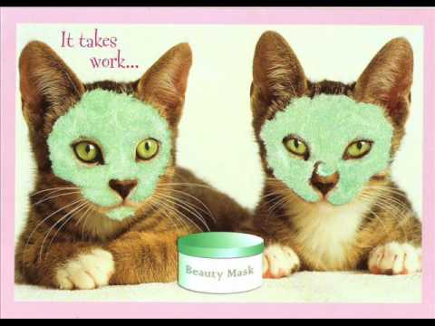 The JULIAN - "Gobsmacked" (Sugar Tastes Like Candy)