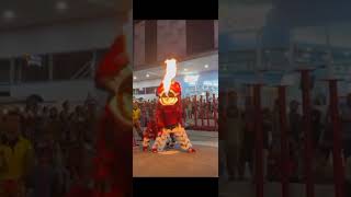 Download lagu barongsai keluar api dari mulut #barongsai #liondance #múalân mp3