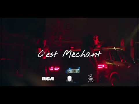 [FREE] NINHO X NISKA X DOSSEH Type beat "C'EST MECHANT" | Instru Banger 2023 type beat