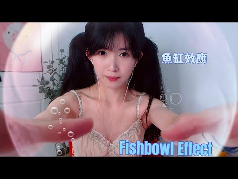 魚缸效應