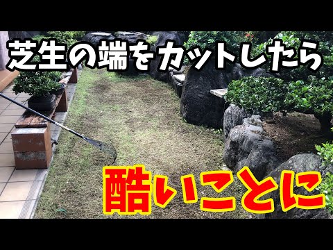 芝生からコケを取り除いたほうがいいでしょうか？その理由と方法: どのような治療法ですか?  庭園