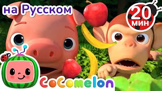 Thumbnail