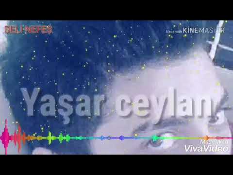 Tolgahan & fuibron & Yaşar Ceylan - Canımı Aldılar  En güzel Whatsapp durumları (Duygusal şarkılar)