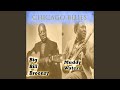 Good Looking Woman - Muddy Waters - Topic Good Looking Woman