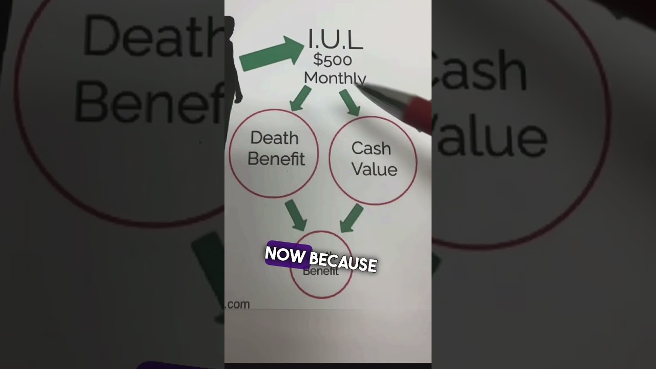 What is an Index Universal Life (IUL)? 🧐 #shorts #iul #indexuniversallife #wholelife #taxfree #lirp