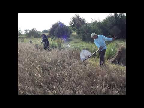 Gmina Michałowo - Film promocyjny (2013)