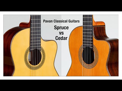 Comparing Spruce and Cedar Classical Guitars -Pavan TP-30 AC Cutaway *No Reverb Added