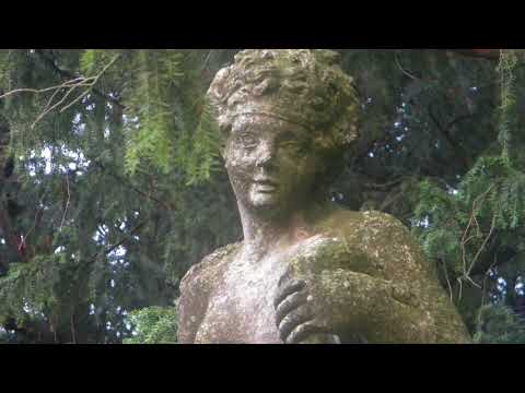 @ionbogdanstefanescu  Samuel Barber - Canzone