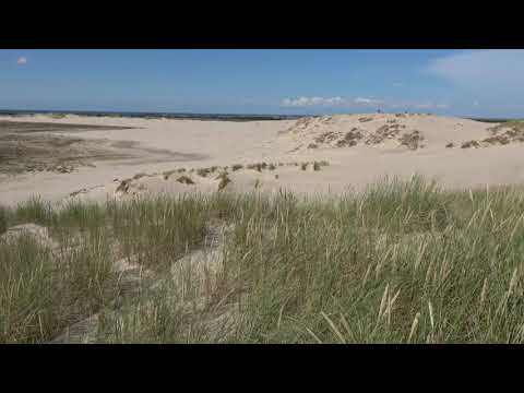 balade au Danemark, le 8:  la dune mobile de Råbjerg Mile