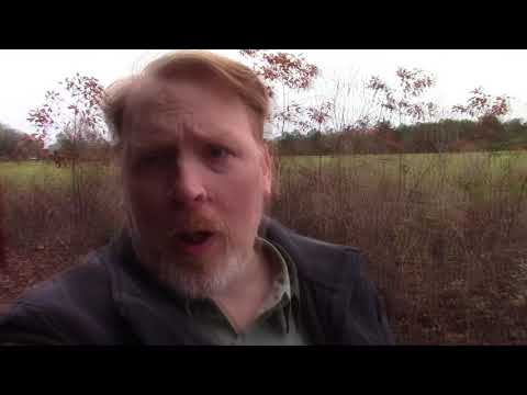 Thu 12/7/2017 - Tim is tired