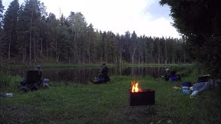 Ссылка