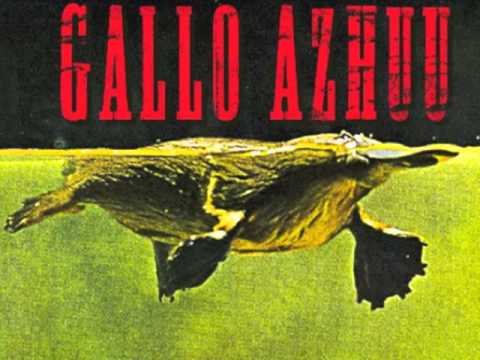 Gallo Azhuu - Hippie Rico