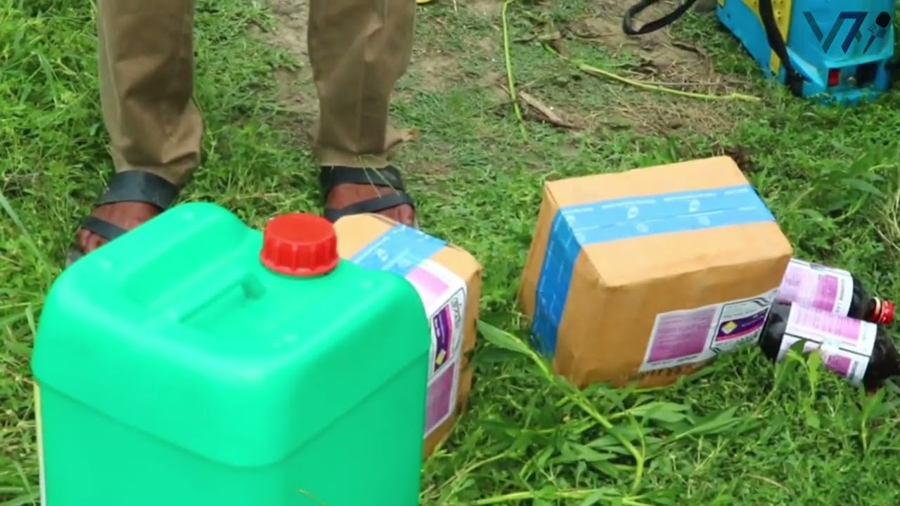 Water Hyacinth Removal Launched in Gajnar Beel