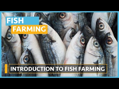 Fish Farming courses Lesson 1 Meet the Instructor