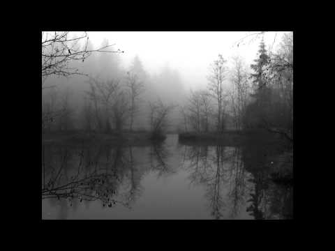Würm - Beauty of the Dark Forest