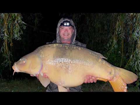 Venue videos photo 2