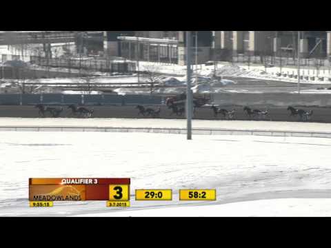 Meadowlands Qualifier #3 - March 7, 2015 - Secret Delight