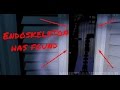 ENDOSKELETON HAS BEEN FOUND IN FNAF 4