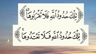 هل خالف حد الرجم القرآن الكريم