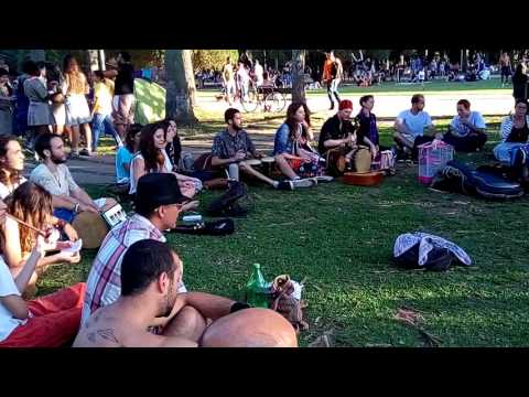 A Laranjeira - Eu tomo dessa bebida #124