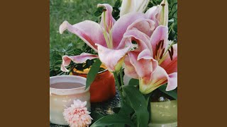 Victimised by The Hazys