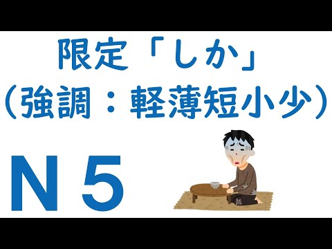 【Ｎ５文法】助詞：限定「しか」（強調：軽薄短小少）