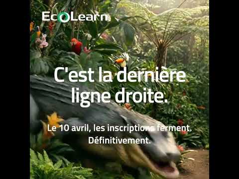 Ecolearn Alligator