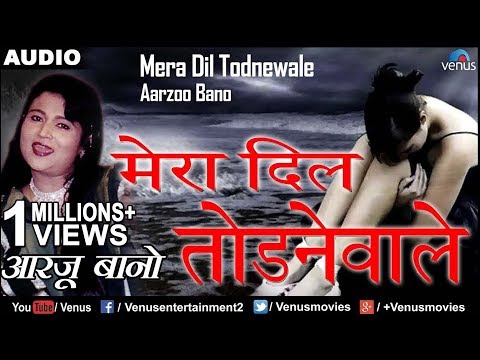 Mera Dil Todnewale Tu Bhi — watch video