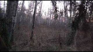 preview picture of video 'November 2010 Northern Sask Hunt'