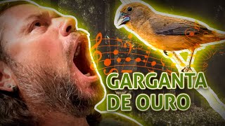 Miniatura do vídeo