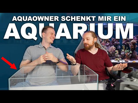 My FRESHWATER AQUARIUM from @AquaOwner + new Reef Art & Design STONES