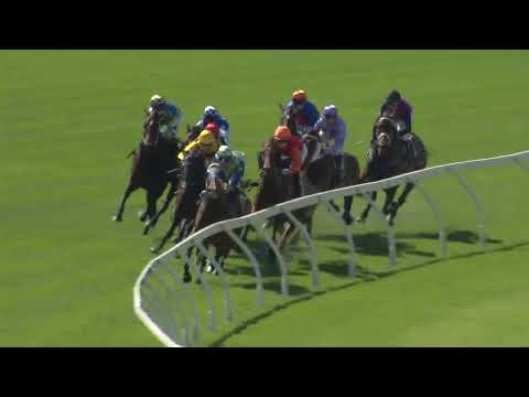 Colonel Reeves Stakes 2025 - JOKERS GRIN (3YO+ SWP G3) Group 3 Ascot 15 November