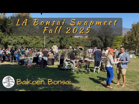 Bonsai Shopping in LA | Fall 2025 Los Angeles Bonsai Swap Meet – Baikoen Bonsai Club