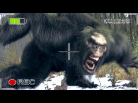 Brutaler BigFoot Angriff gefilmt - Bigfoot Gameplay German