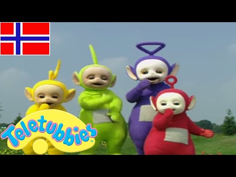 ☆ Teletubbiene på norsk ☆  Går tur med hunden 377 ☆ Tegneserier for barn ☆
