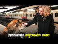 HACHI Movie Explained In Kannada Dubbed Kannada Movies Story Explained Review Kannada