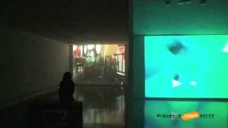 preview picture of video '2008 Kuandu Biennale'