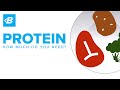 How Much Protein Do You Need? | Foundations of Fitness Nutrition