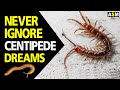 What does Centipede dream meaning | Dreaming of Centipede mean | Centipede dream interpretation