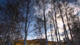 Angelo Badalamenti Don't Do Anything