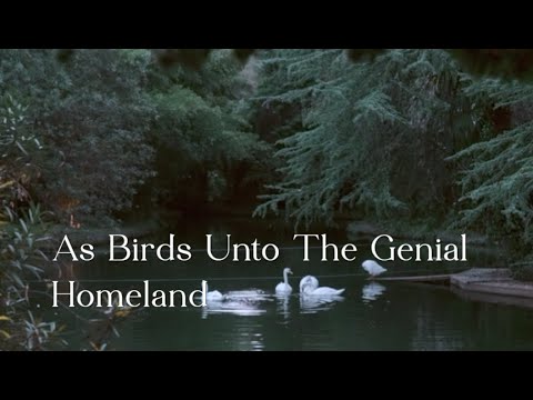 395 SDA Hymn - As Birds Unto The Genial Homeland (Singing w/ Lyrics)