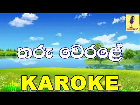 Tharu Werale - Damith Asanka Karoke Without Voice