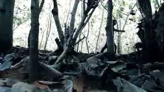 THE LAST OF MEMORIES - OUT OF THE DARKNESS