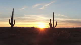 Geraldine Taylor - The Other Side of The Road