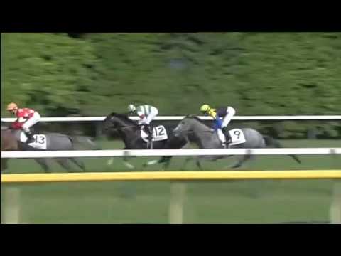 2016.05.29 Tokyo Yushun (Japanese Derby) - Makahiki