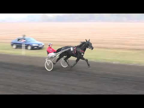 Trka "Firentin" 27.10.2019 Marko - Dalibor Suknović