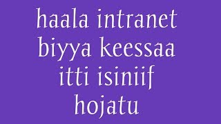 Download lagu Haala intranet biyya keessaa itti isiniif hojatu VIDEO tana Daawwadhaa share godhaa warra oromiyaaf mp3