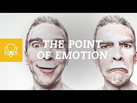 The Purpose of Emotions: Why We Have Emotions | Controlling Emotion | Understanding Emotion